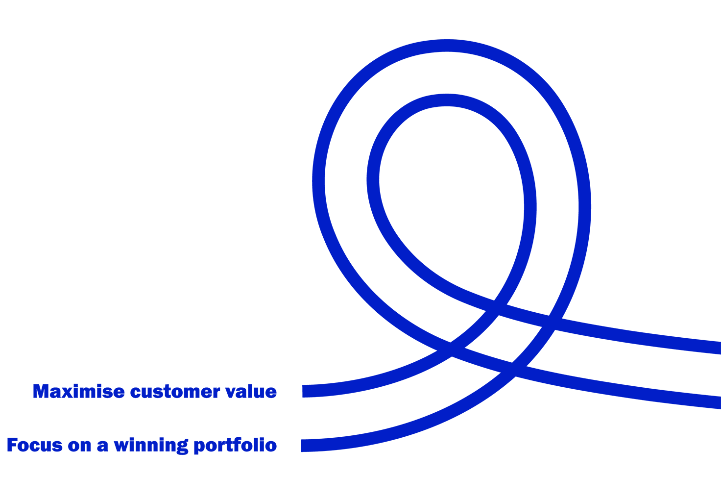 A blue line with a central circle, featuring the text "Maximise customer value. Focus on winning portfolio" prominently displayed.