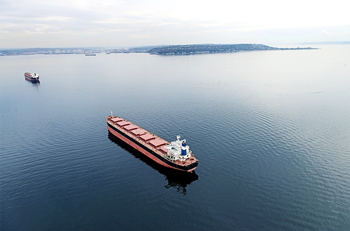 A bulk cargo ship floating in calm waters, with a distant island and another ship further away.